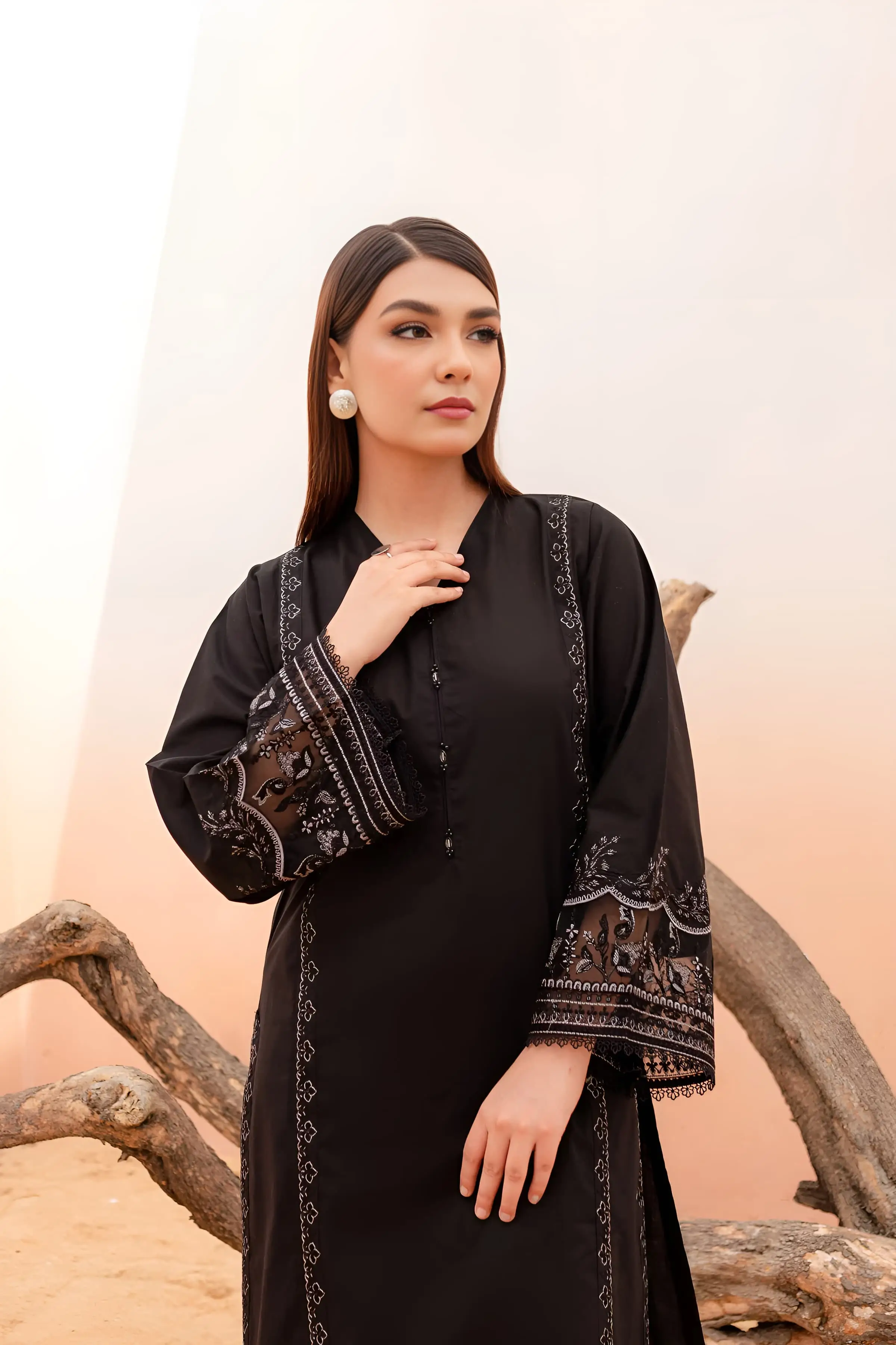 Best Seller - Black Rose - 2Pc Stitched Embroidered Dress - Image 4